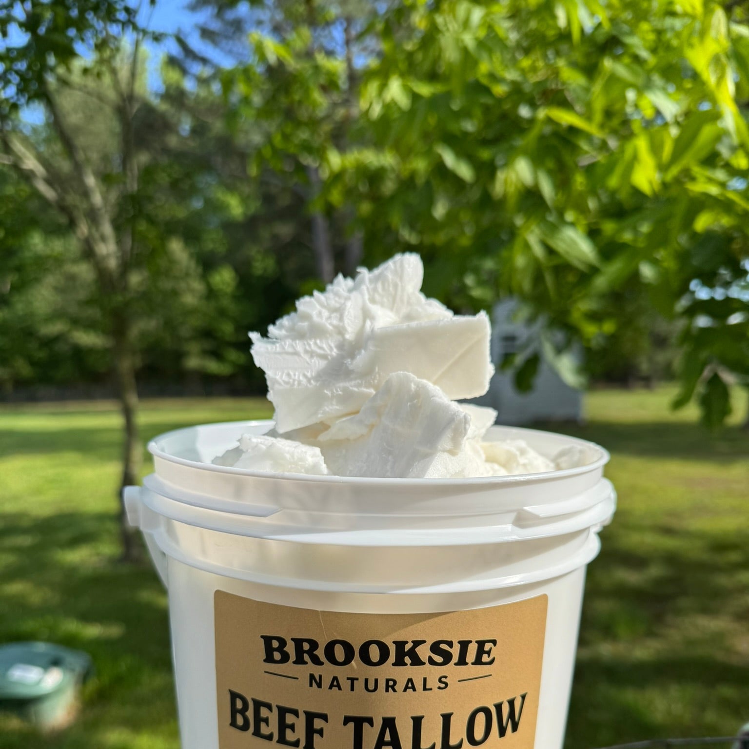 Bulk Tallow
